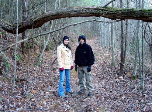 Long Branch Trail, Blue Ridge, Georgia