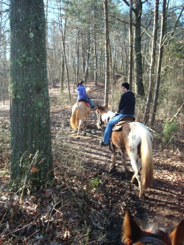 Horseback Riding Through the Forest