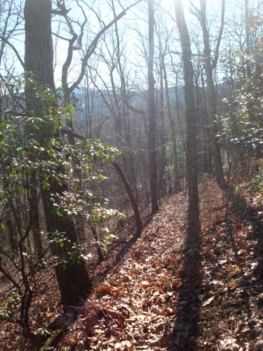 Beautiful Green Mountain Trail