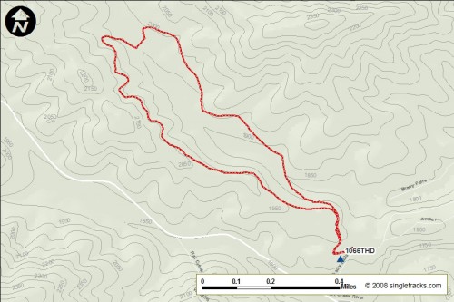 Long Branch Trail, Blue Ridge, Georgia