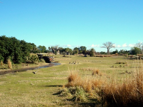 Kilimanjaro Safari Plain