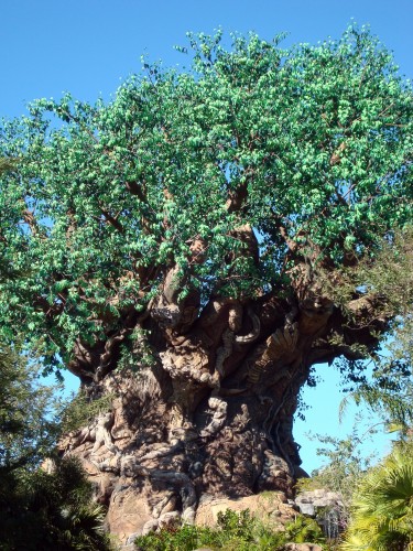 The Tree of Life at Animal Kingdom